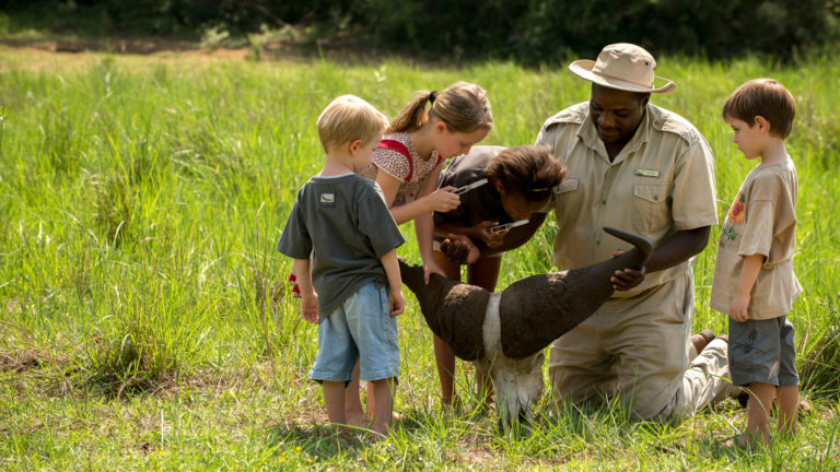 Tanzania Family Safari