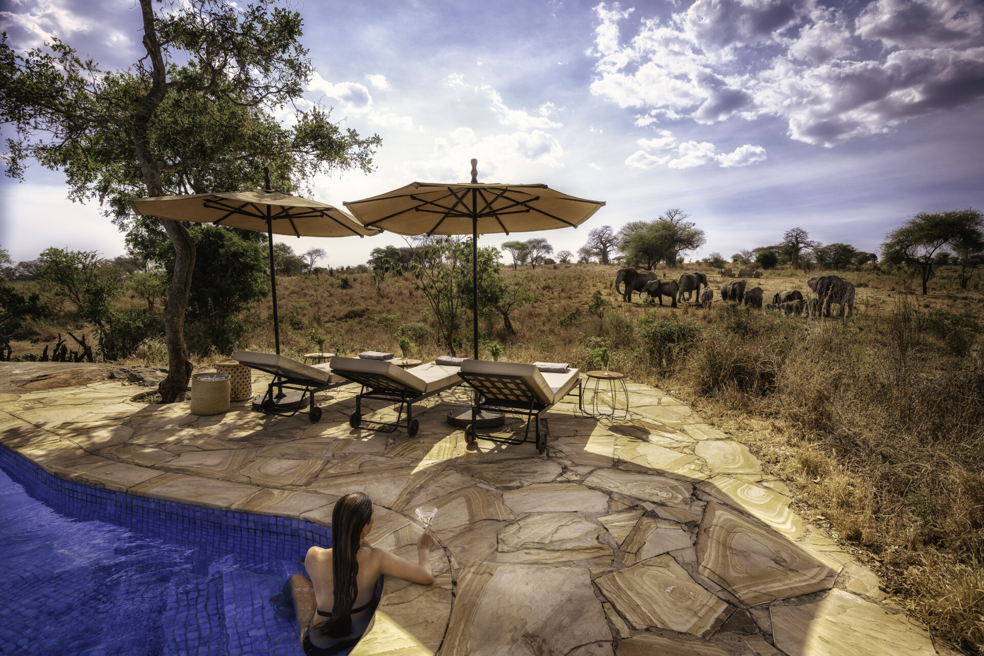 4 day safari Tanzania