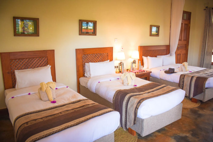 3-Day Safari From Zanzibar