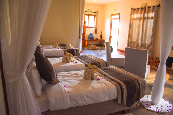 3-Day Safari From Zanzibar