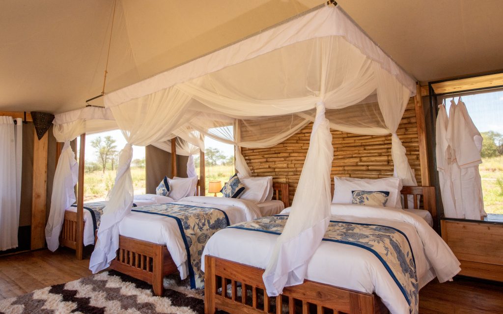 Tanzania safari and Zanzibar beach holiday