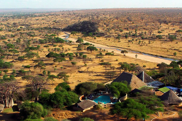 Tanzania safari and Zanzibar beach holiday